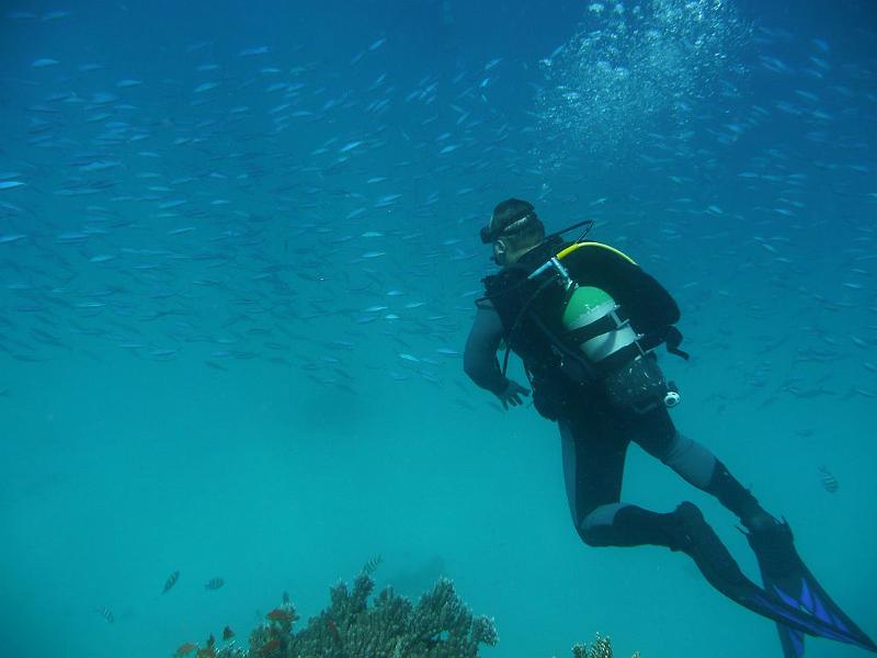 30 Axel im Fischschwarm.JPG